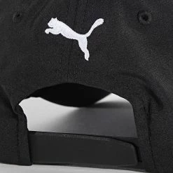 Acheter 🔔 Casquette BMW Motorsport 024020 Noir de Puma 🧨 -Puma Soldes 2022 puma 340328 024020 01 20220927T134647 03