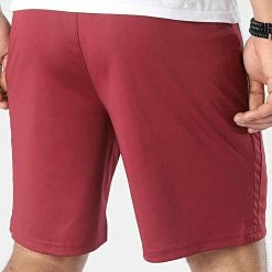 Promo 🥰 Short Jogging Team Liga 704924 Bordeaux de Puma 💯 -Puma Soldes 2022 puma 348787 704924 09 20221128T140244 04